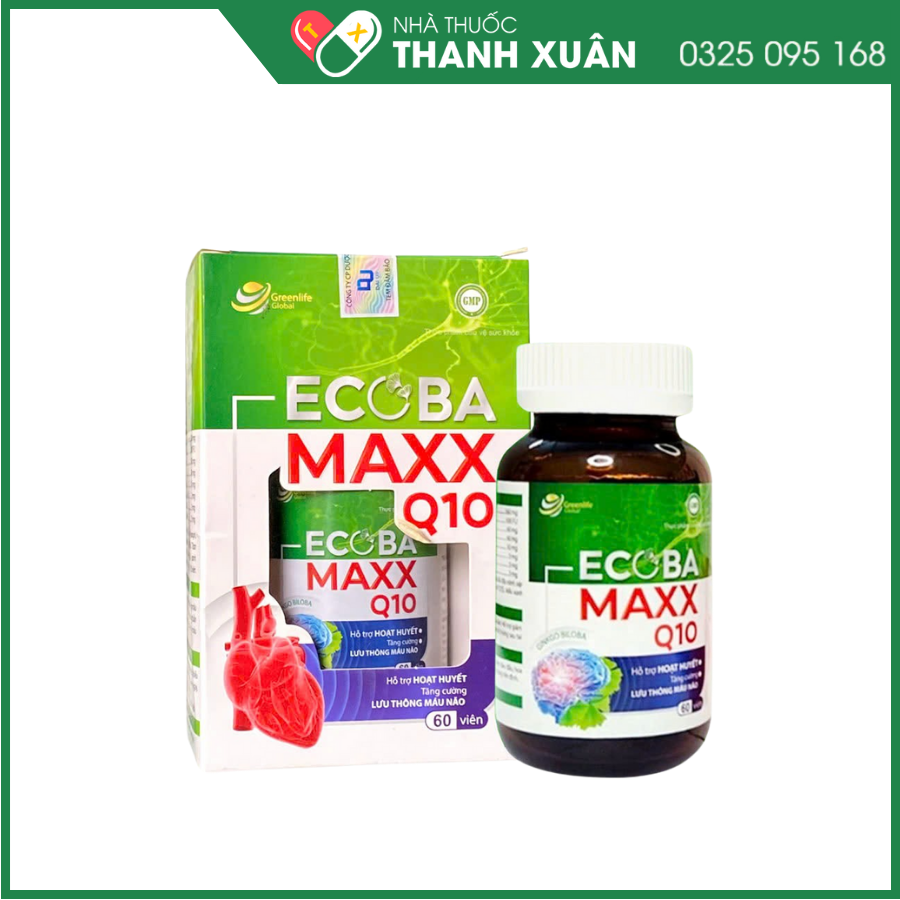 Ecoba Maxx Q10 giúp tăng cường lưu thông máu não